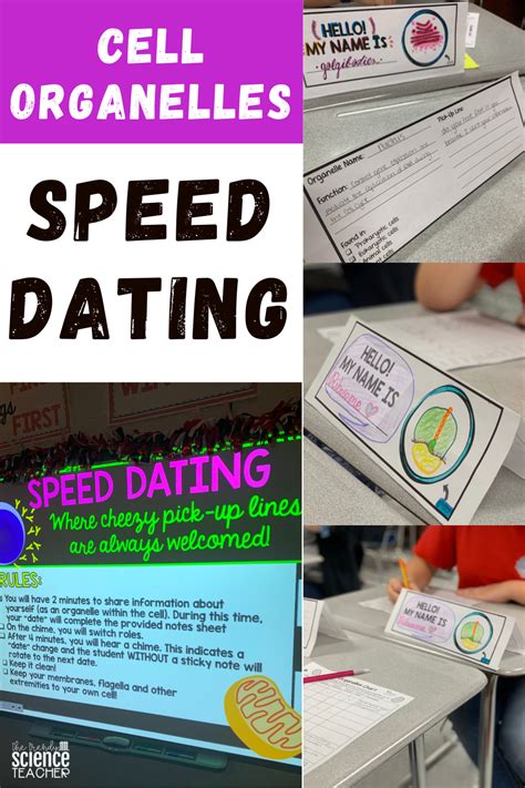 cell membrane speed dating